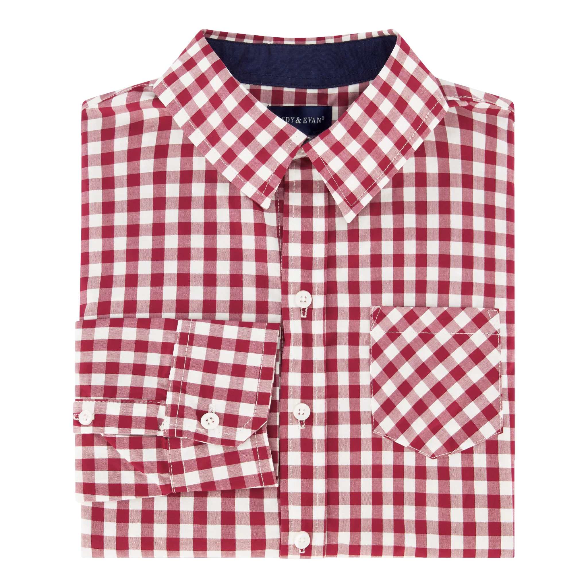 Infant Boys Gingham Button Down Shirtzie