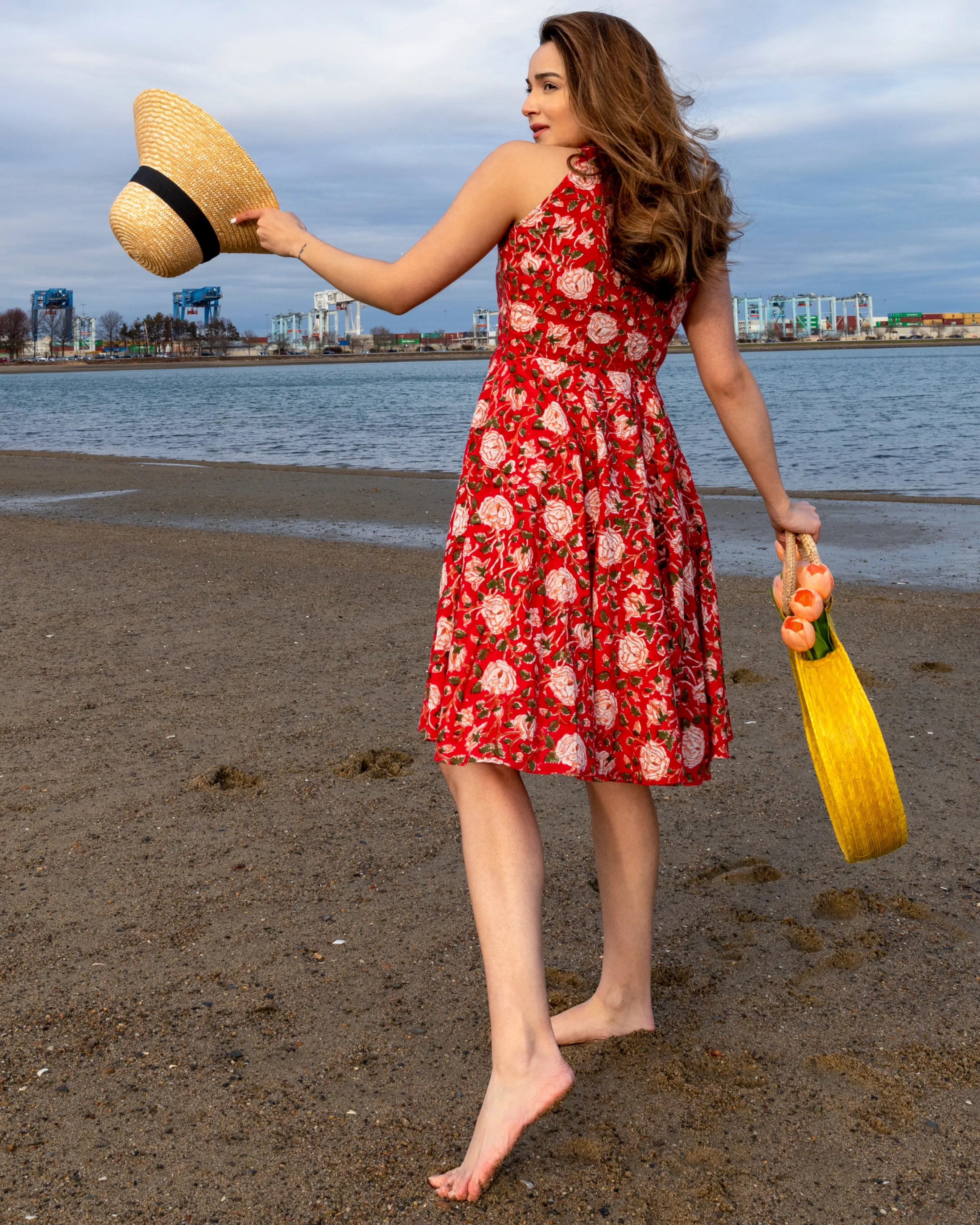 Red Lacewing Handblock Cotton Dress