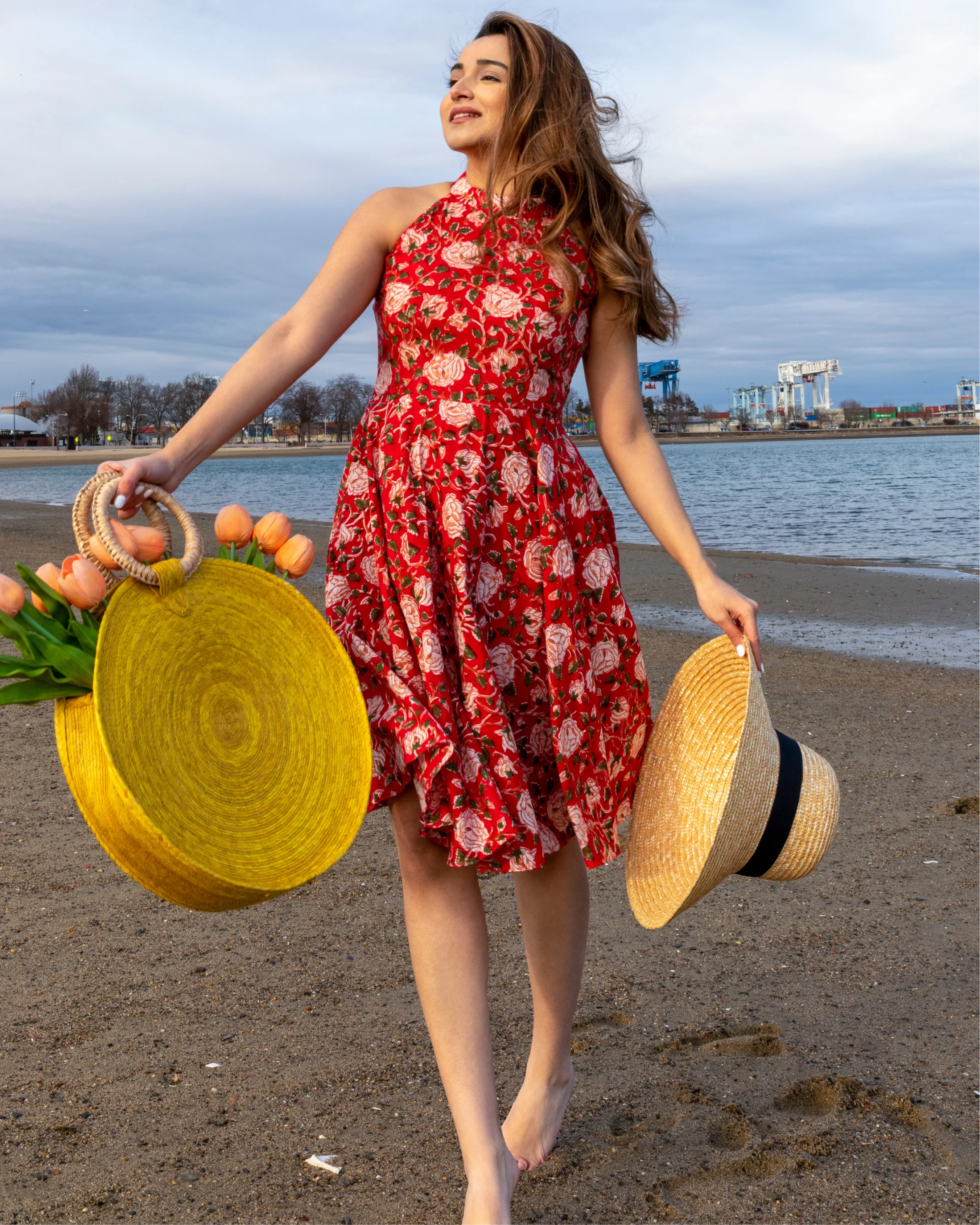 Red Lacewing Handblock Cotton Dress